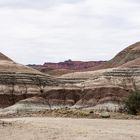 Ischigualasto 1