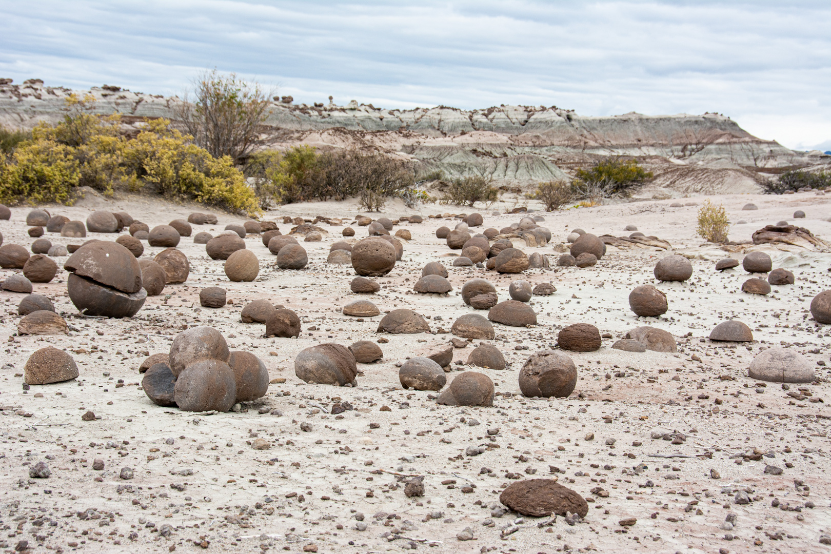 Ischigualasto 6