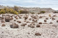 Ischigualasto 6