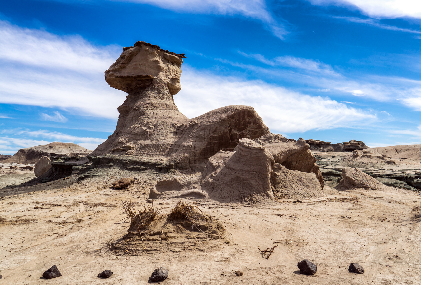 Ischigualasto  - Valle de la Luna