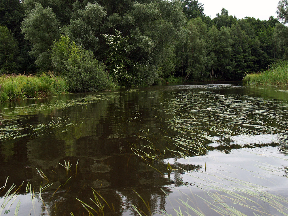 ISE-Landschaft (1)