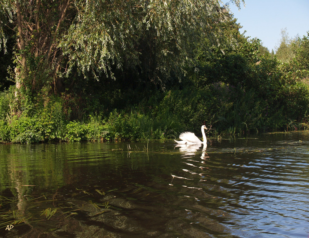 ISE-Landschaft (7)