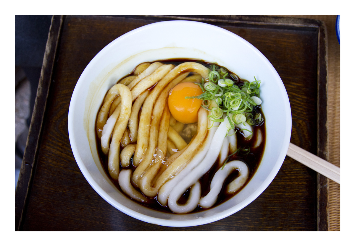 Ise Udon