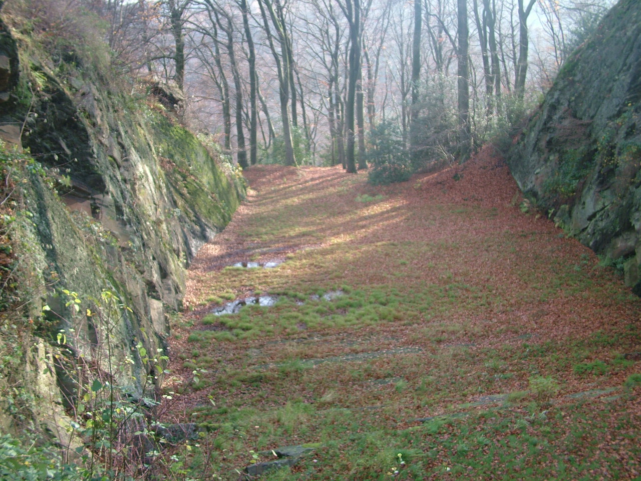 Isenburg - Ein Weg