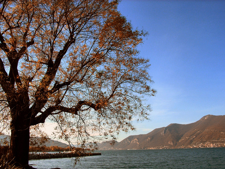 iseo