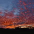 Iserlohner Heide Sonnenuntergang....