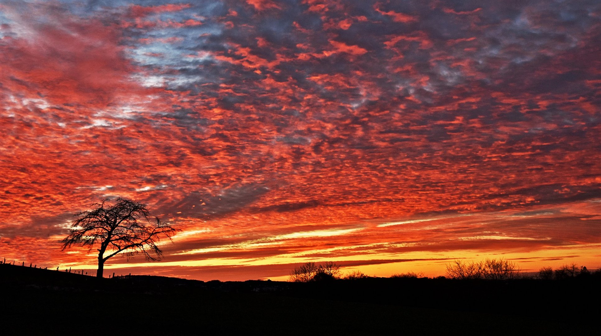 Iserlohner Heide und der Sonnenuntergang....