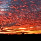 Iserlohner Heide und der Sonnenuntergang....