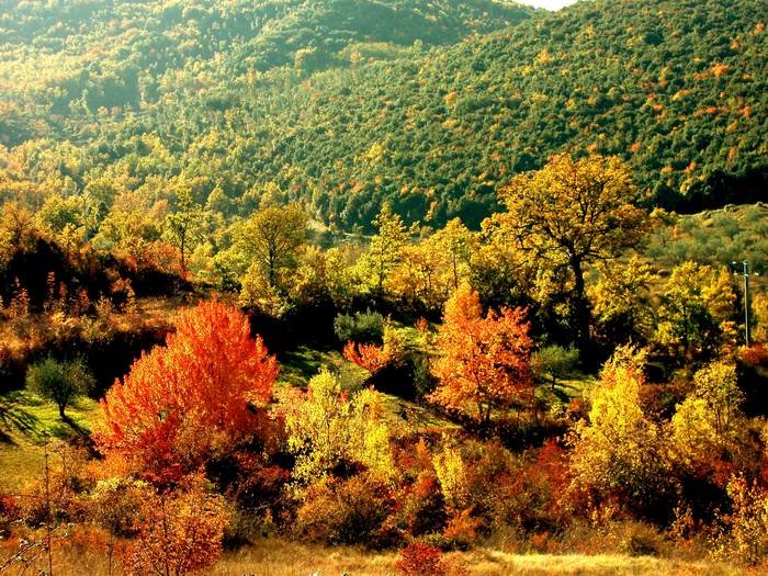 Isernia :colori autunnali