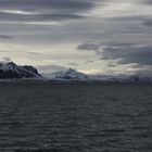 Isfjorden