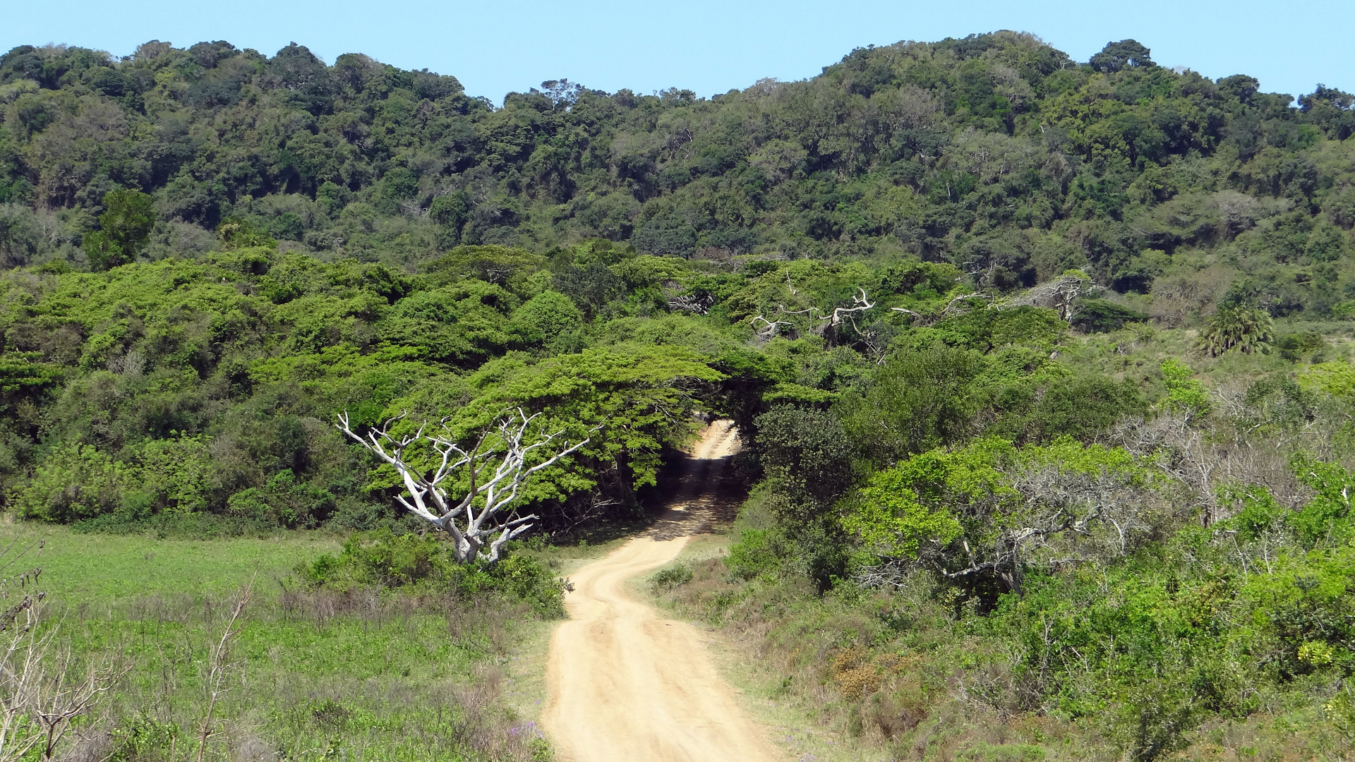 iSimangaliso Wetland Park