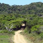 iSimangaliso Wetland Park