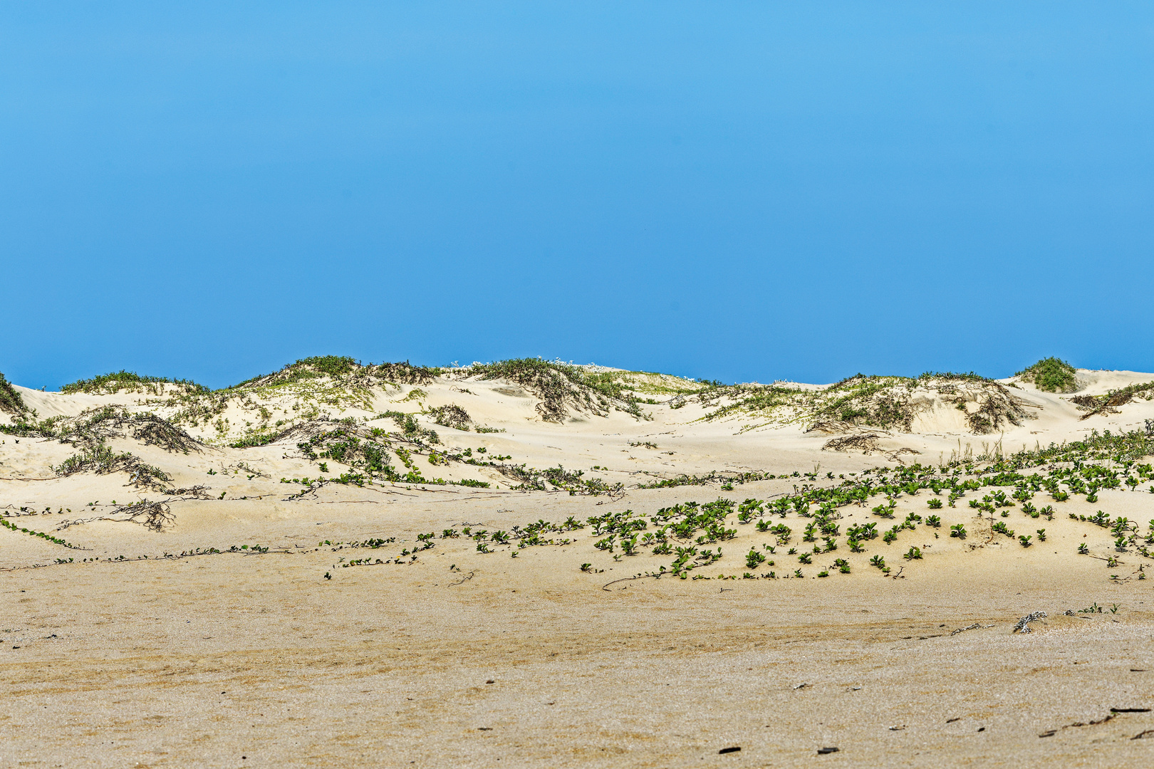 iSimangaliso-Wetland-Park