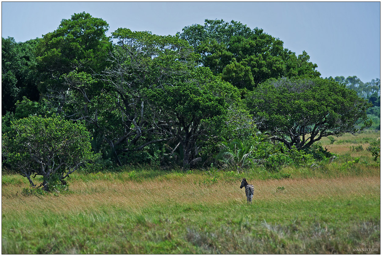 iSiMangaliso Wetland Park