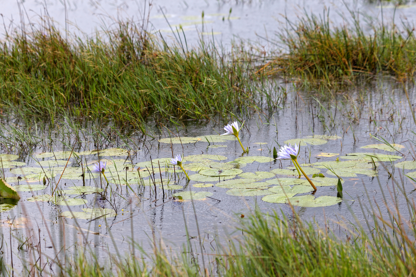 iSimangaliso Wetland Park_1