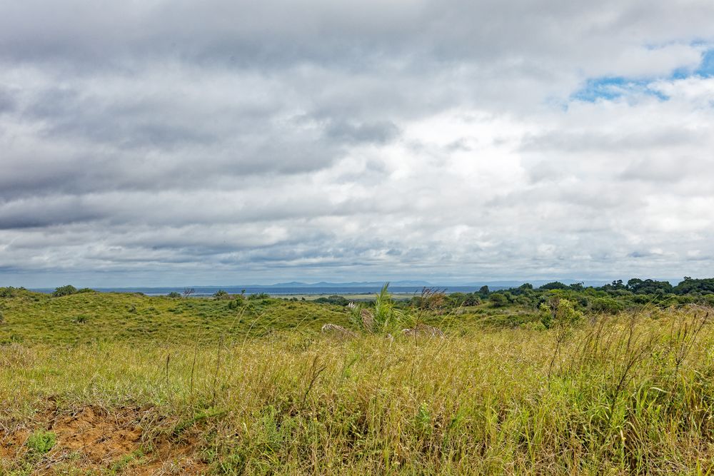 iSimangaliso Wetland Park_2 Foto & Bild africa, southern africa