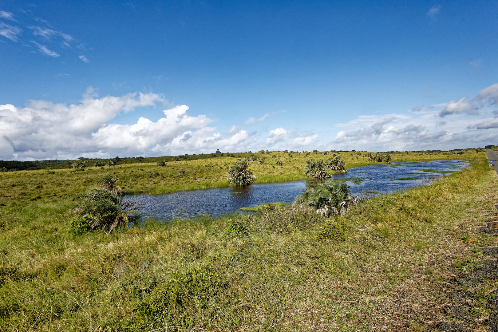 iSimangaliso Wetland Park_3