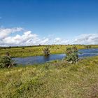 iSimangaliso Wetland Park_3