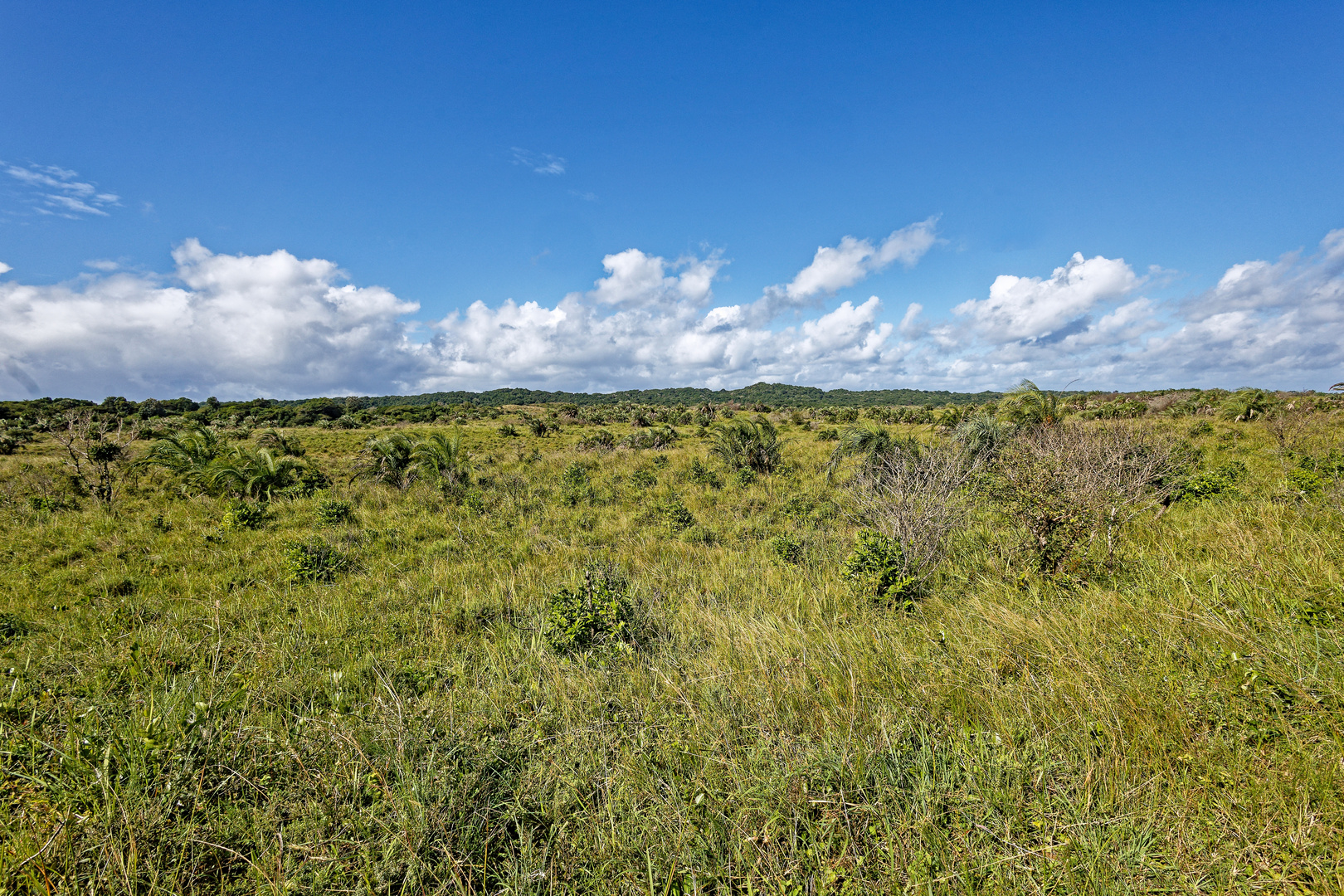 iSimangaliso Wetland Park_4