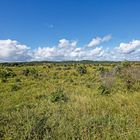 iSimangaliso Wetland Park_4