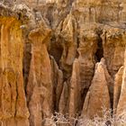 Isimilia Stone Age 4, Tanzania, 13.10.2016