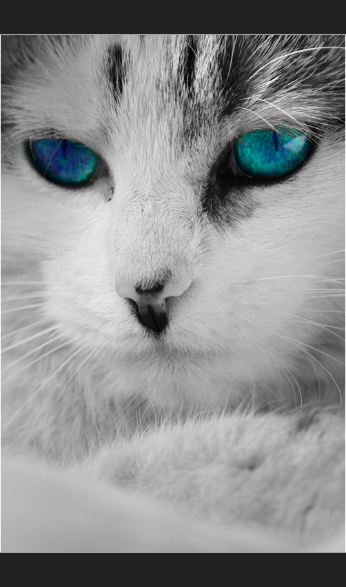 isis blue eyes