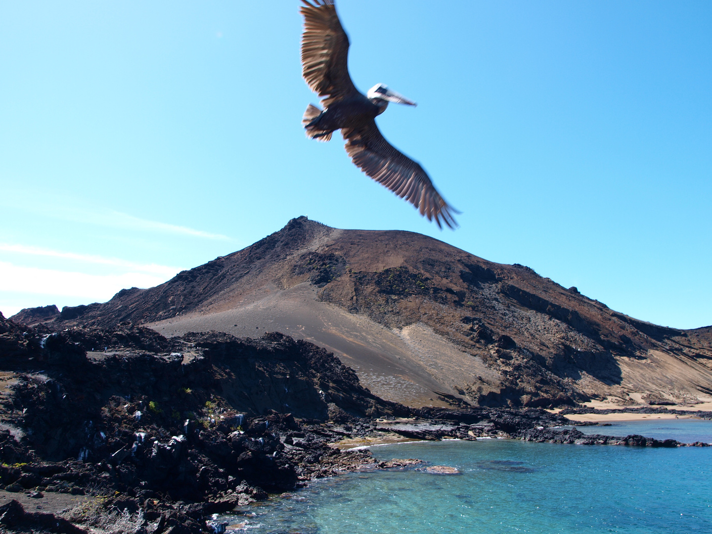 Isla Bartolomé