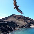 Isla Bartolomé