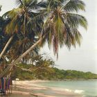 Isla Barù 2 - Colombia Cartagena