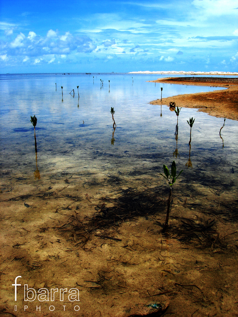 isla blanca