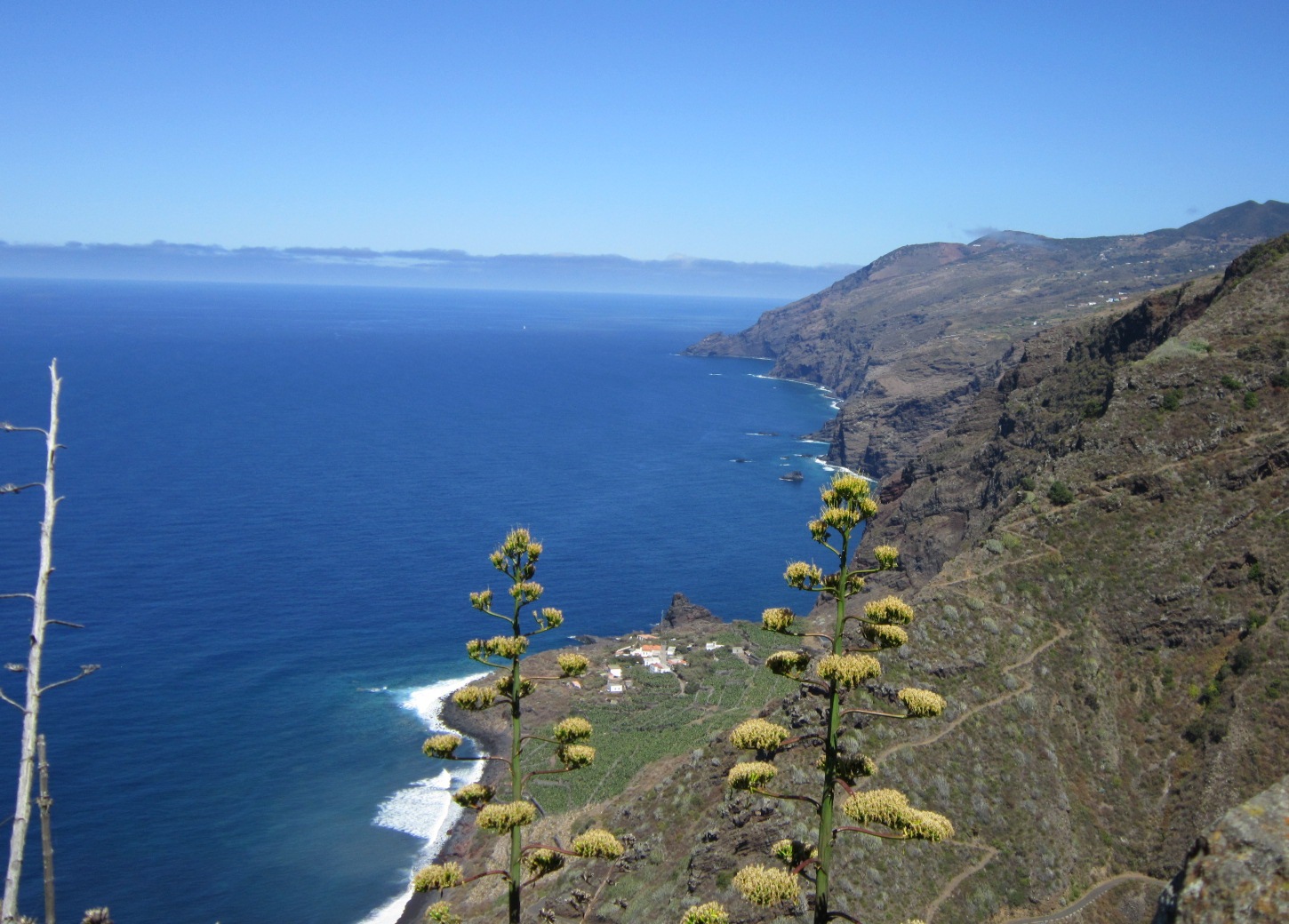 Isla Bonita