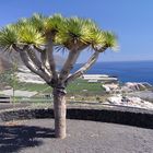 Isla Bonita - Trauminsel La Palma