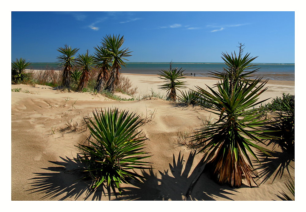 Isla Canela, Andalusien