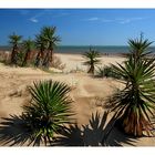 Isla Canela, Andalusien