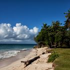 Isla Cayo Levantado...