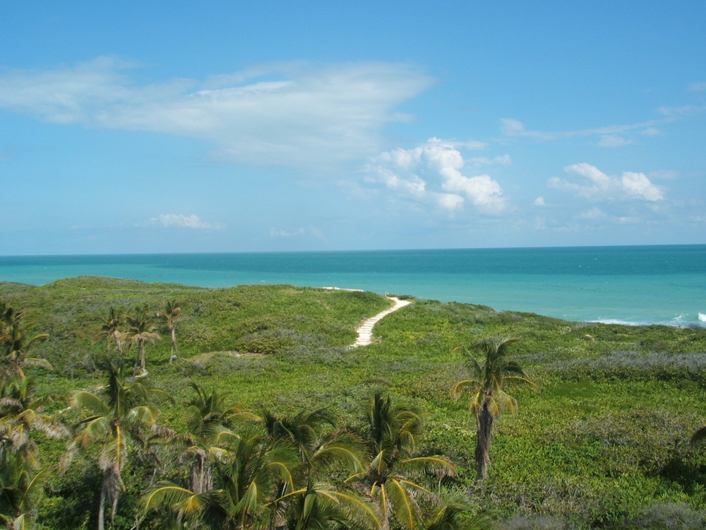 Isla Contoy II