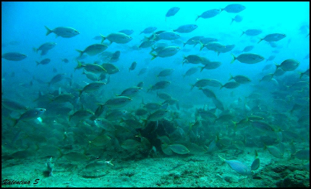 Isla de Gran Canaria-12