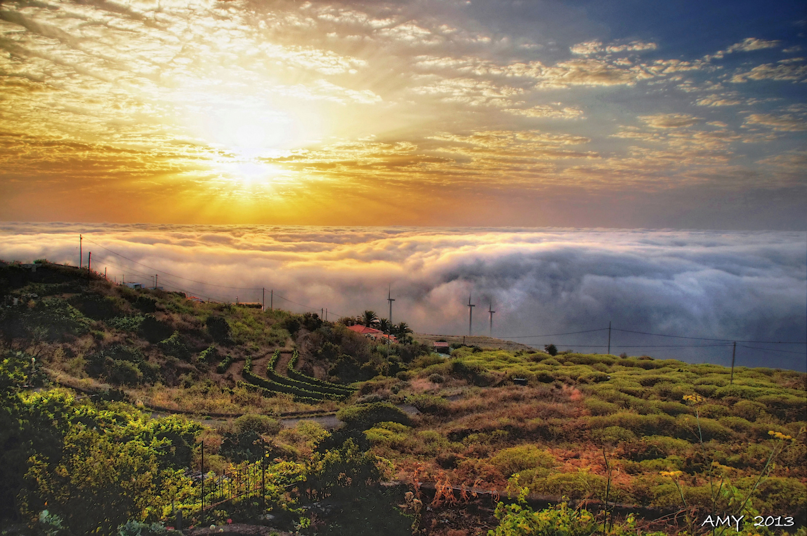 ISLA de LA PALMA............. Un REGALO de DIOS a la HUMANIDAD. In Memoriam PEDRO RDGUEZ DOMINGUEZ.