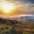 ISLA de LA PALMA............. Un REGALO de DIOS a la HUMANIDAD. In Memoriam PEDRO RDGUEZ DOMINGUEZ.