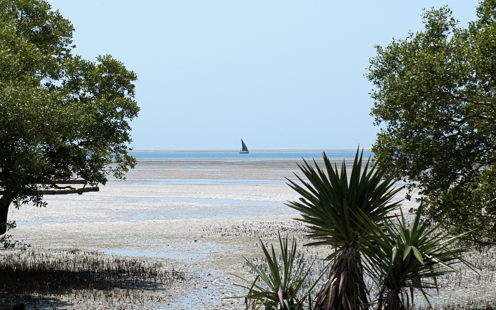 Isla de los Puercos (Mozambique)