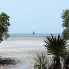 Isla de los Puercos (Mozambique)