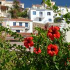 Isla de Paros, Grecia