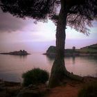 Isla del Carmen desde el dique ( Luanco)