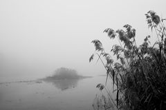 Isla en la niebla