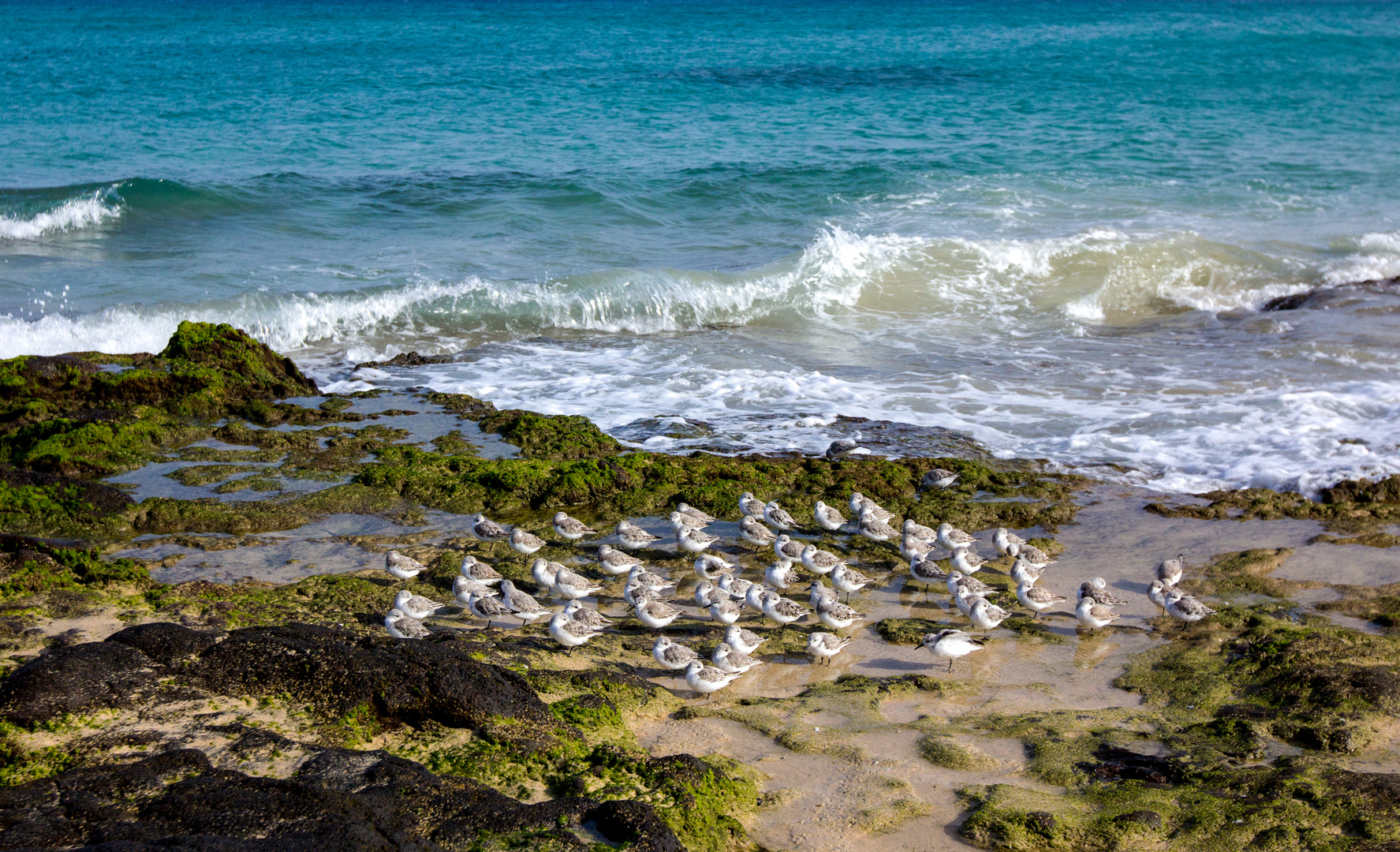 Isla Fuerteventura