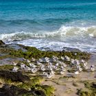 Isla Fuerteventura