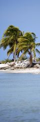 Isla Holbox - Cabo Catoche