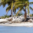 Isla Holbox - Cabo Catoche