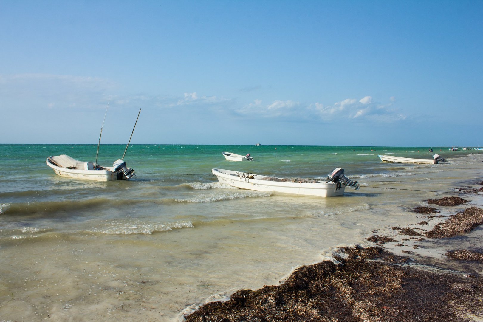 Isla Holbox, México . 2018 . 