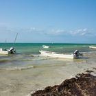 Isla Holbox, México . 2018 . 